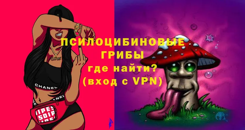 Галлюциногенные грибы Magic Shrooms  купить  сайты  Рыльск 